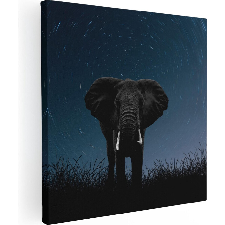 Artaza Canvas Schilderij Olifant - 90x90 cm - Wanddecoratie Dieren - Muurdecoratie Woonkamer - Schilderijen Op Canvas Nachtlucht afbeelding 1