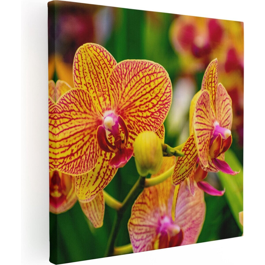 Artaza Canvas Schilderij Geel Rode Orchidee Bloemen - 60x60 - Foto Op Canvas - Canvas Print Artaza Canvas Schilderij Geel Rode Orchidee Bloemen - 60x60 - Foto Op Canvas - Canvas Print afbeelding 1