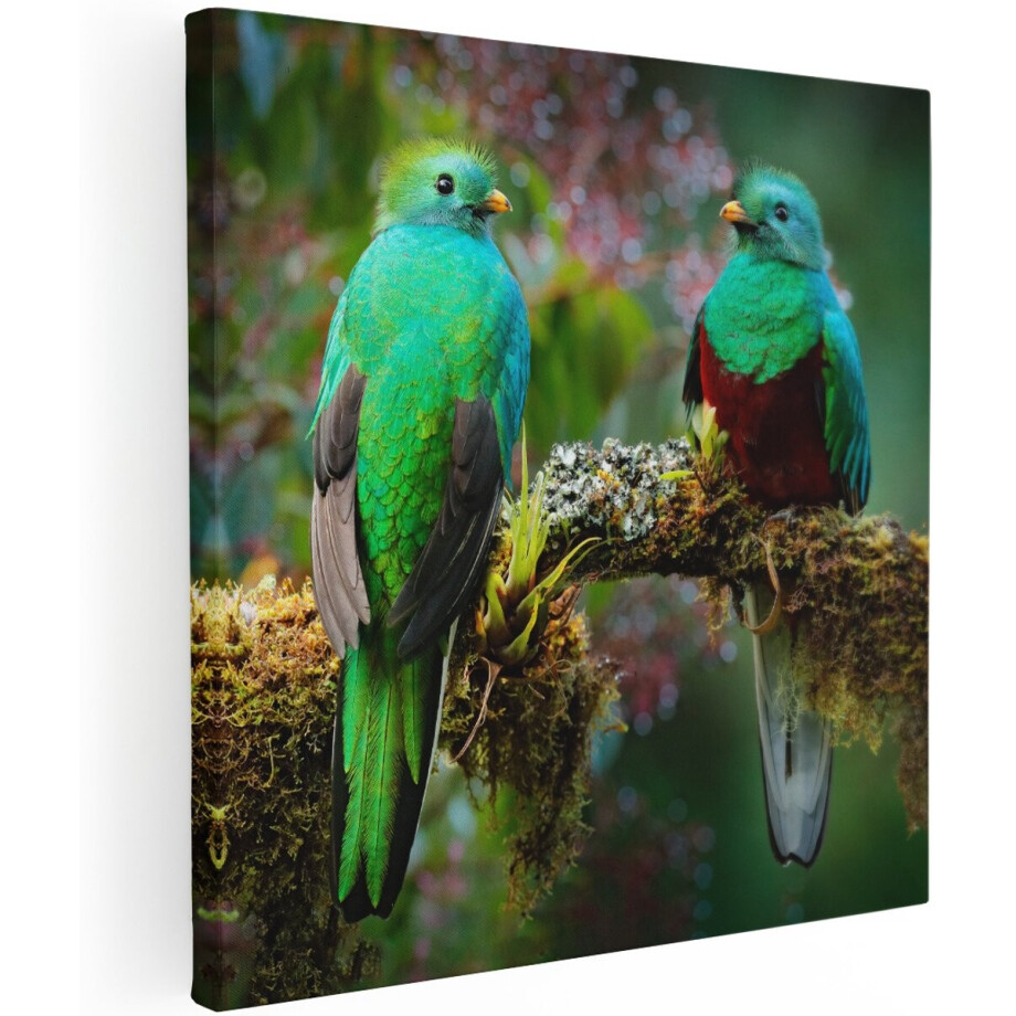 Artaza Canvas Schilderij Twee Groene Quetzal Vogels Op Een Tak - 100x100 cm - Groot - Wanddecoratie Woonkamer - Schilderijen - Muurdecoratie Artaza Canvas Schilderij Twee Groene Quetzal Vogels Op Een Tak - 100x100 cm - Groot - Wanddecoratie Woonkamer - Schilderijen - Muurdecoratie afbeelding 1