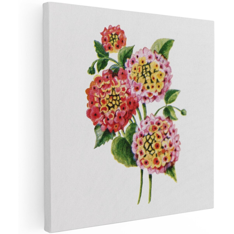 Artaza Canvas Schilderij Bloemen - 100x100 cm - Groot - Wanddecoratie Lantana - Muurdecoratie Vintage - Schilderijen Op Canvas Bloemen - Roze Artaza Canvas Schilderij Bloemen - 100x100 cm - Groot - Wanddecoratie Lantana - Muurdecoratie Vintage - Schilderijen Op Canvas Bloemen - Roze afbeelding 1