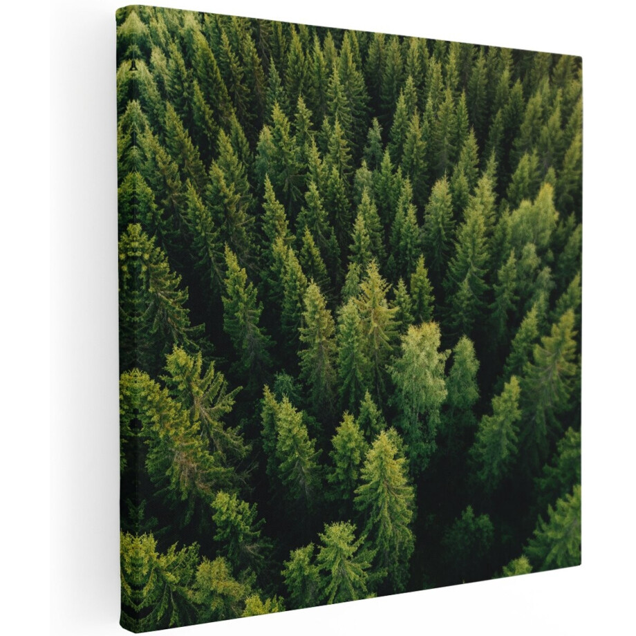 Artaza Canvas Schilderij Bos Met Bomen Vanaf Boven - 100x100 cm - Groot - Wanddecoratie Woonkamer - Schilderijen - Muurdecoratie Artaza Canvas Schilderij Bos Met Bomen Vanaf Boven - 100x100 cm - Groot - Wanddecoratie Woonkamer - Schilderijen - Muurdecoratie afbeelding 1