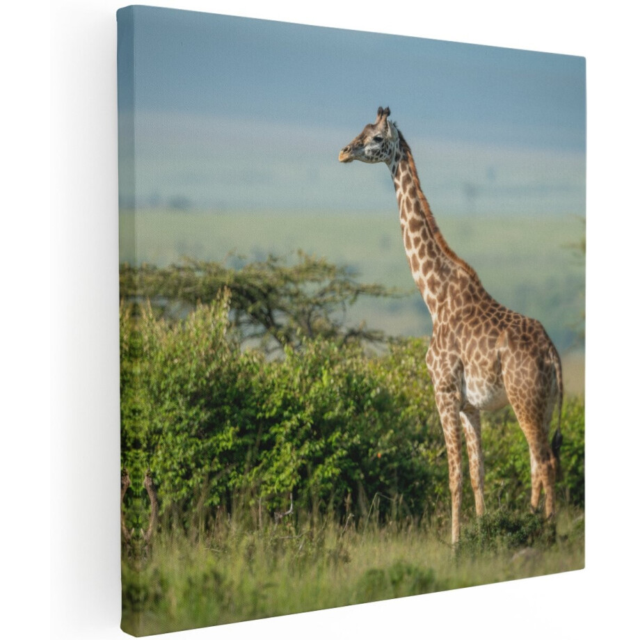 Artaza Canvas Schilderij Giraffe In Het Wild Tussen De Struiken - 100x100 cm - Groot - Wanddecoratie Woonkamer - Schilderijen - Muurdecoratie afbeelding 1