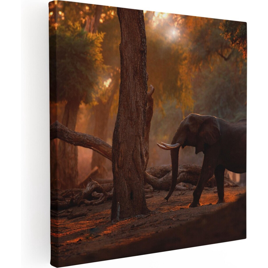 Artaza Canvas Schilderij Olifant In het Bos - 60x60 - Foto Op Canvas - Canvas Print afbeelding 1