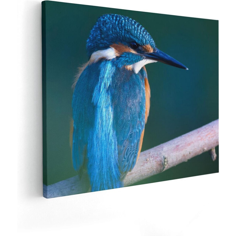 Artaza Canvas Schilderij Blauwe IJsvogel Op Een Tak - 50x40 - Foto Op Canvas - Canvas Print Artaza Canvas Schilderij Blauwe IJsvogel Op Een Tak - 50x40 - Foto Op Canvas - Canvas Print afbeelding 1