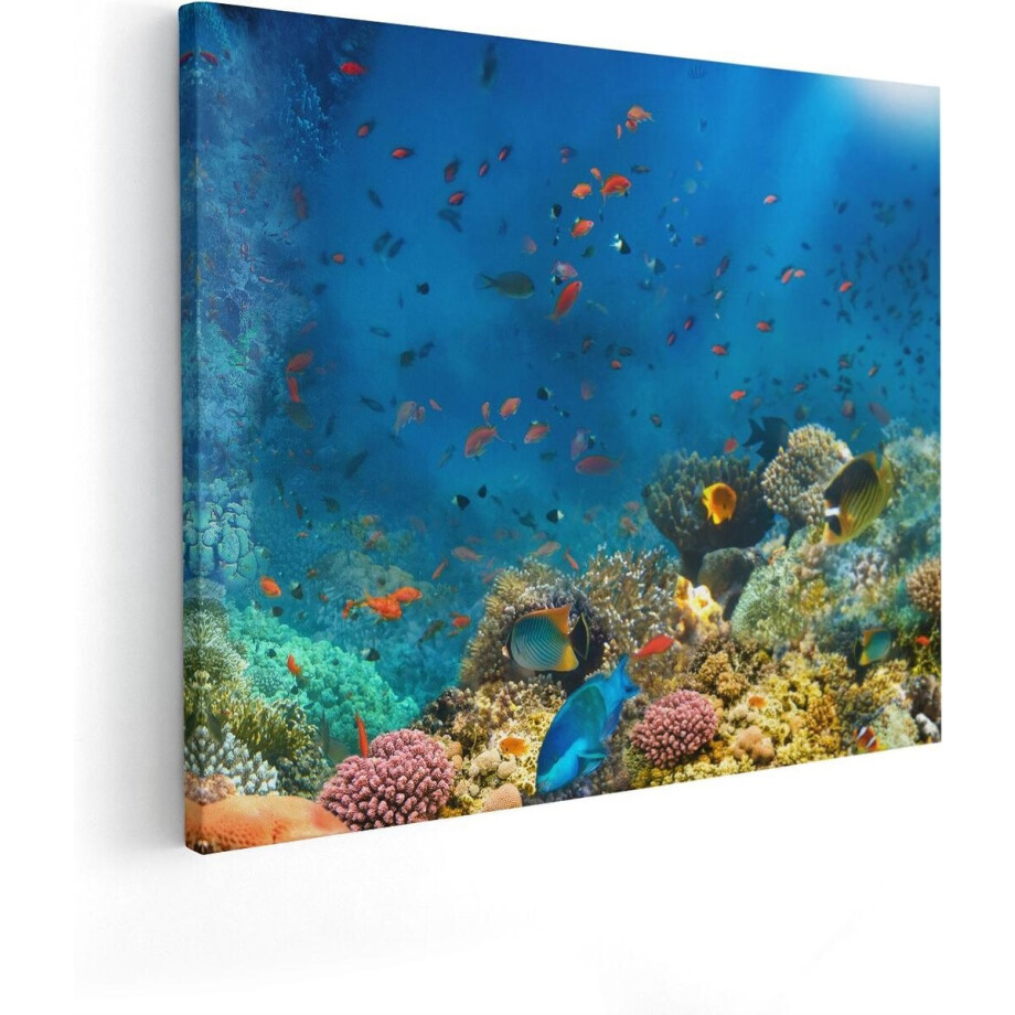 Artaza Canvas Schilderij Onderwater Vissen Met Koraal In De Zee - 50x40 cm - Wanddecoratie Woonkamer - Schilderijen - Muurdecoratie afbeelding 1