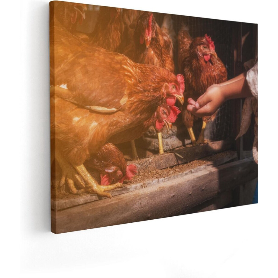 Artaza Canvas Schilderij Kippen Krijgen te Eten - 100x80 - Groot - Foto Op Canvas - Canvas Print afbeelding 1