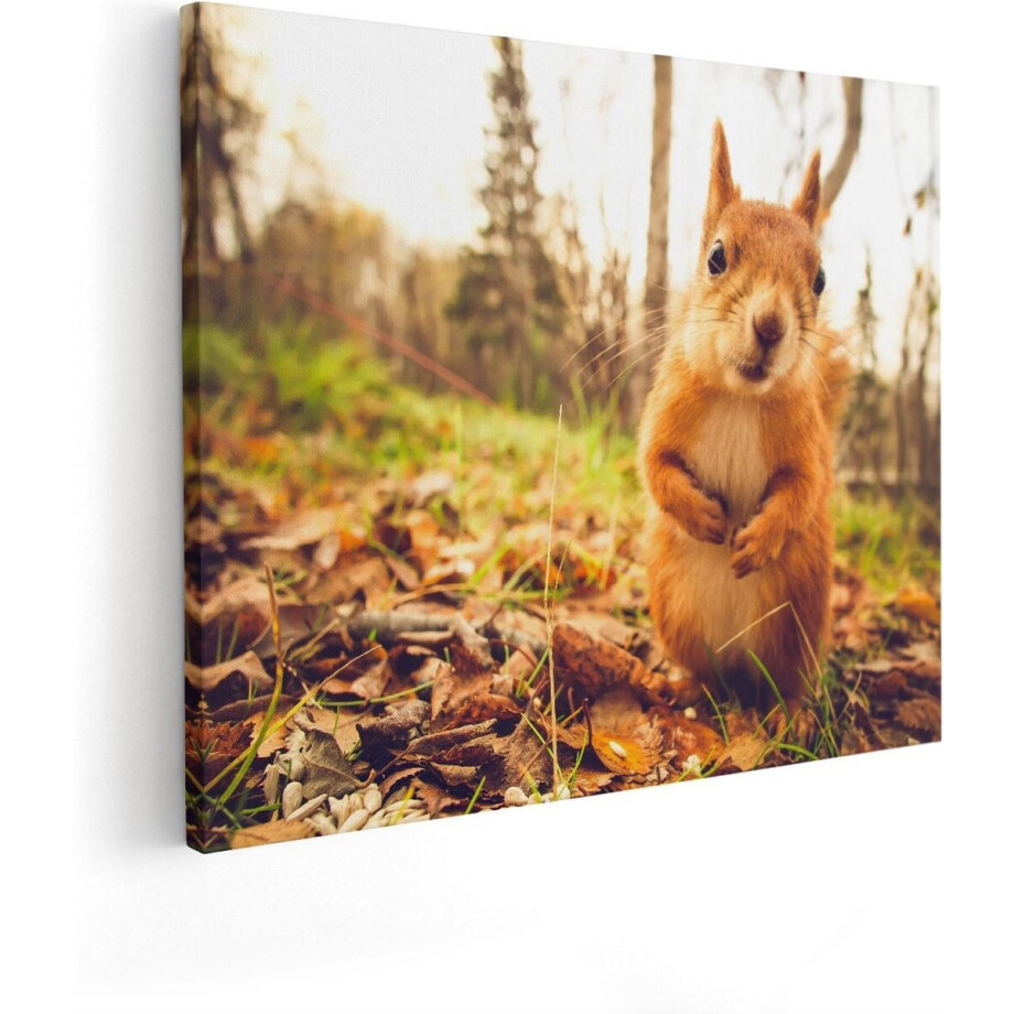 Artaza Canvas Schilderij Eekhoorn in het Bos tijdens de Herfst - 50x40 - Foto Op Canvas - Canvas Print afbeelding 1