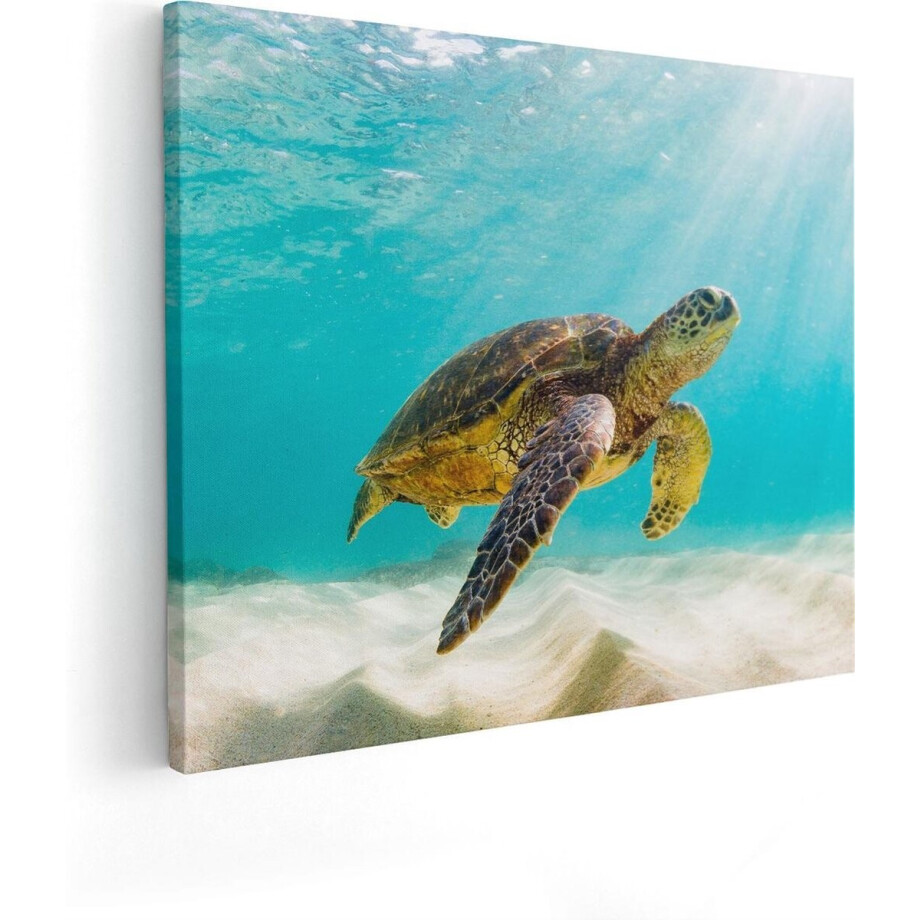 Artaza Canvas Schilderij Schildpad Zwemt in de Helder Blauwe Zee - 100x80 - Groot - Foto Op Canvas - Canvas Print Artaza Canvas Schilderij Schildpad Zwemt in de Helder Blauwe Zee - 100x80 - Groot - Foto Op Canvas - Canvas Print afbeelding 1