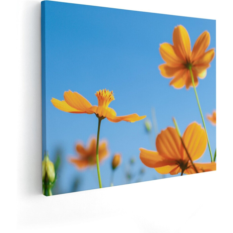 Artaza Canvas Schilderij Cosmea Bloemen - 50x40 cm - Wanddecoratie Bloemen - Schilderijen Op Canvas Woonkamer Artaza Canvas Schilderij Cosmea Bloemen - 50x40 cm - Wanddecoratie Bloemen - Schilderijen Op Canvas Woonkamer afbeelding 1