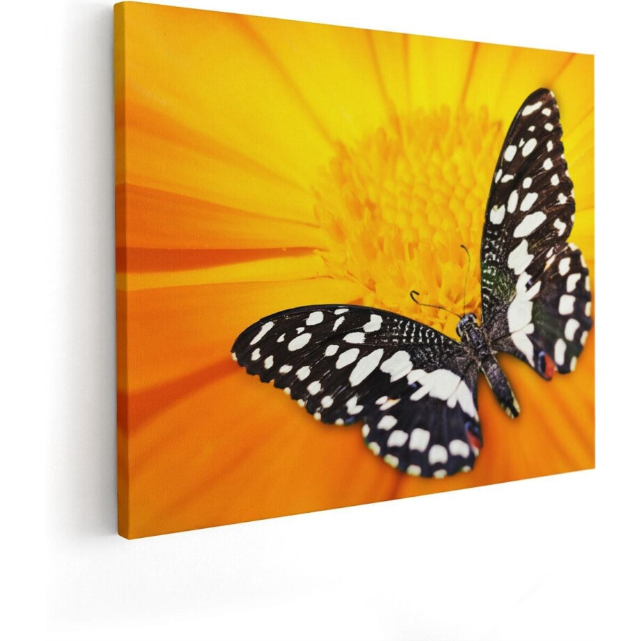 Artaza Canvas Schilderij Vlinder Op Een Oranje Bloem - 100x80 - Groot - Foto Op Canvas - Canvas Print afbeelding 1