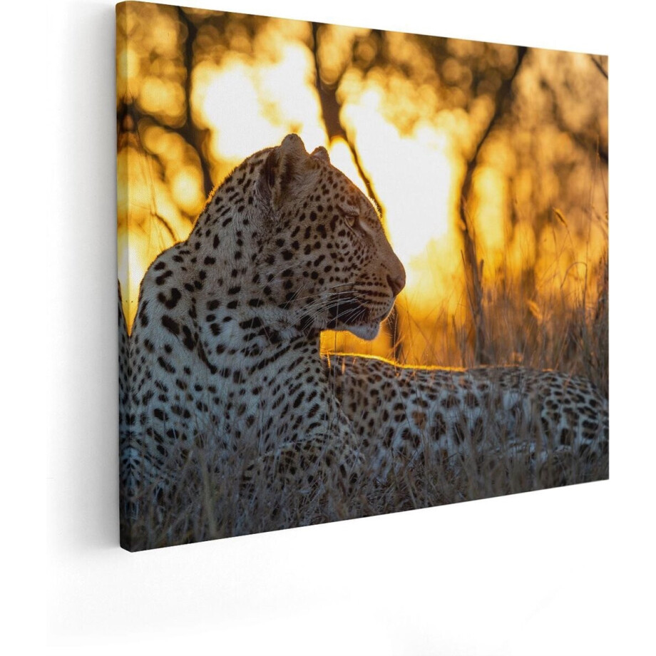 Artaza Canvas Schilderij Luipaard Zonsondergang - 50x40 cm - Wanddecoratie Jungle - Muurdecoratie Dieren - Kamer Accessoires afbeelding 1