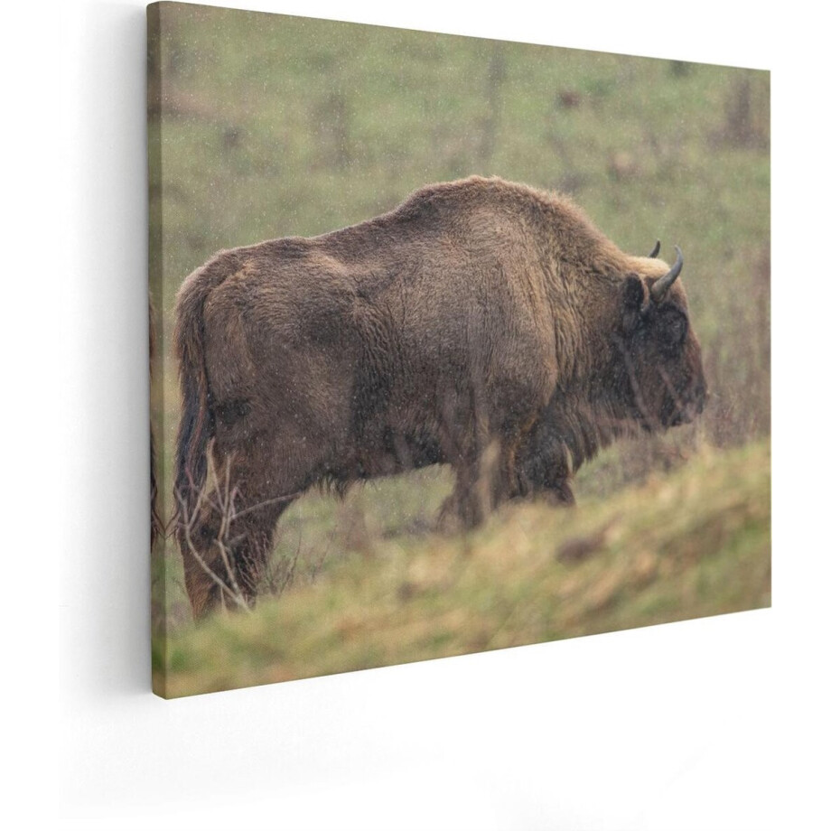 Artaza Canvas Schilderij Bizon - 100x80 cm - Groot - Wanddecoratie Dieren - Muurdecoratie Buffel - Schilderijen Op Canvas Artaza Canvas Schilderij Bizon - 100x80 cm - Groot - Wanddecoratie Dieren - Muurdecoratie Buffel - Schilderijen Op Canvas afbeelding 1