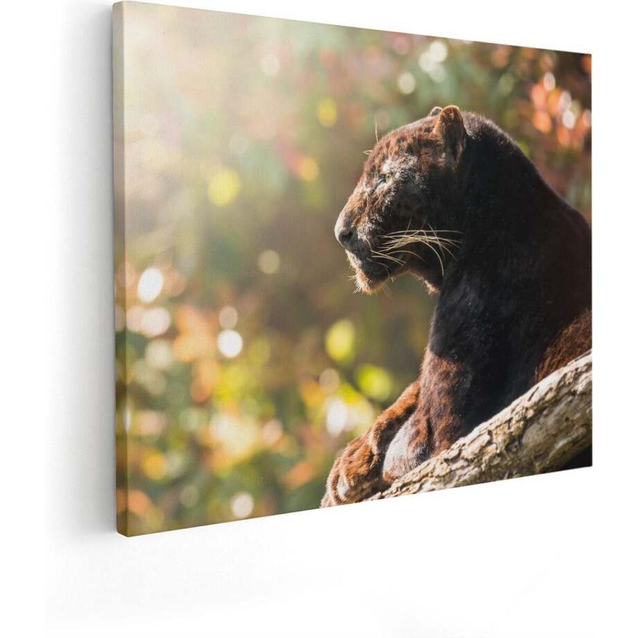 Artaza Canvas Schilderij Zwarte Panter Vanaf De Zijkant - 100x80 - Groot - Foto Op Canvas - Canvas Print Artaza Canvas Schilderij Zwarte Panter Vanaf De Zijkant - 100x80 - Groot - Foto Op Canvas - Canvas Print afbeelding 1