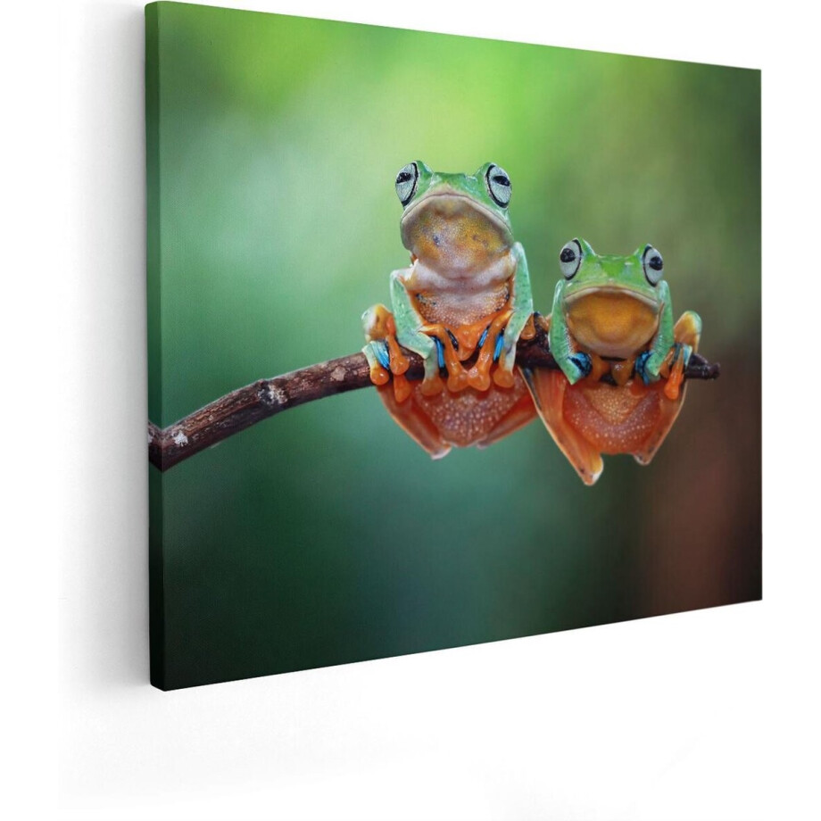 Artaza Canvas Schilderij Kikker - 100x80 cm - Groot - Wanddecoratie Dieren - Muurdecoratie Jungle - Schilderijen Op Canvas afbeelding 1