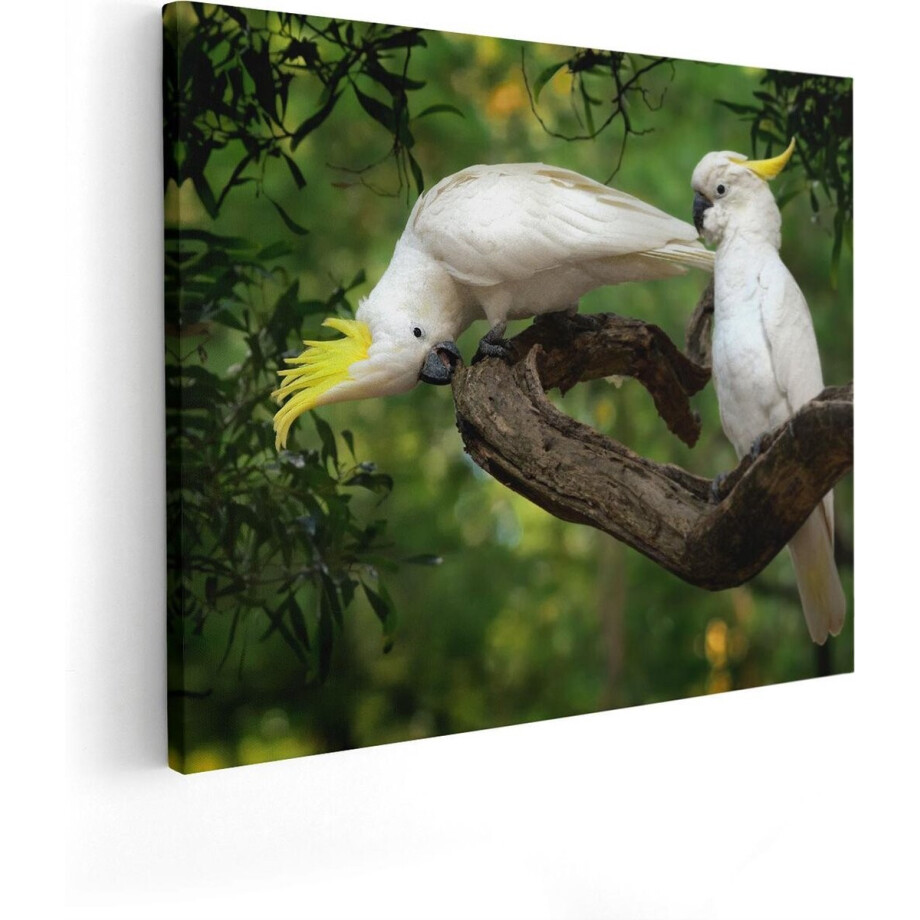 Artaza Canvas Schilderij Twee Witte Kaketoes in de Bomen - 50x40 - Foto Op Canvas - Canvas Print afbeelding 1