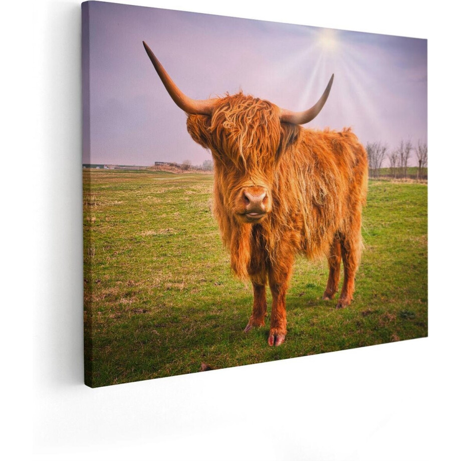 Artaza Canvas Schilderij Bruine Schotse Hooglander Koe - Kleur - 100x80 - Groot - Foto Op Canvas - Canvas Print afbeelding 1
