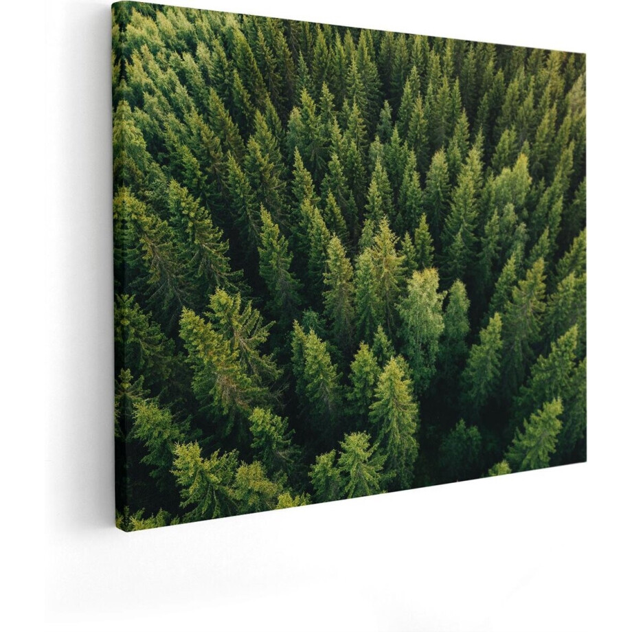Artaza Canvas Schilderij Bos Met Bomen Vanaf Boven - 100x80 - Groot - Foto Op Canvas - Canvas Print Artaza Canvas Schilderij Bos Met Bomen Vanaf Boven - 100x80 - Groot - Foto Op Canvas - Canvas Print afbeelding 1