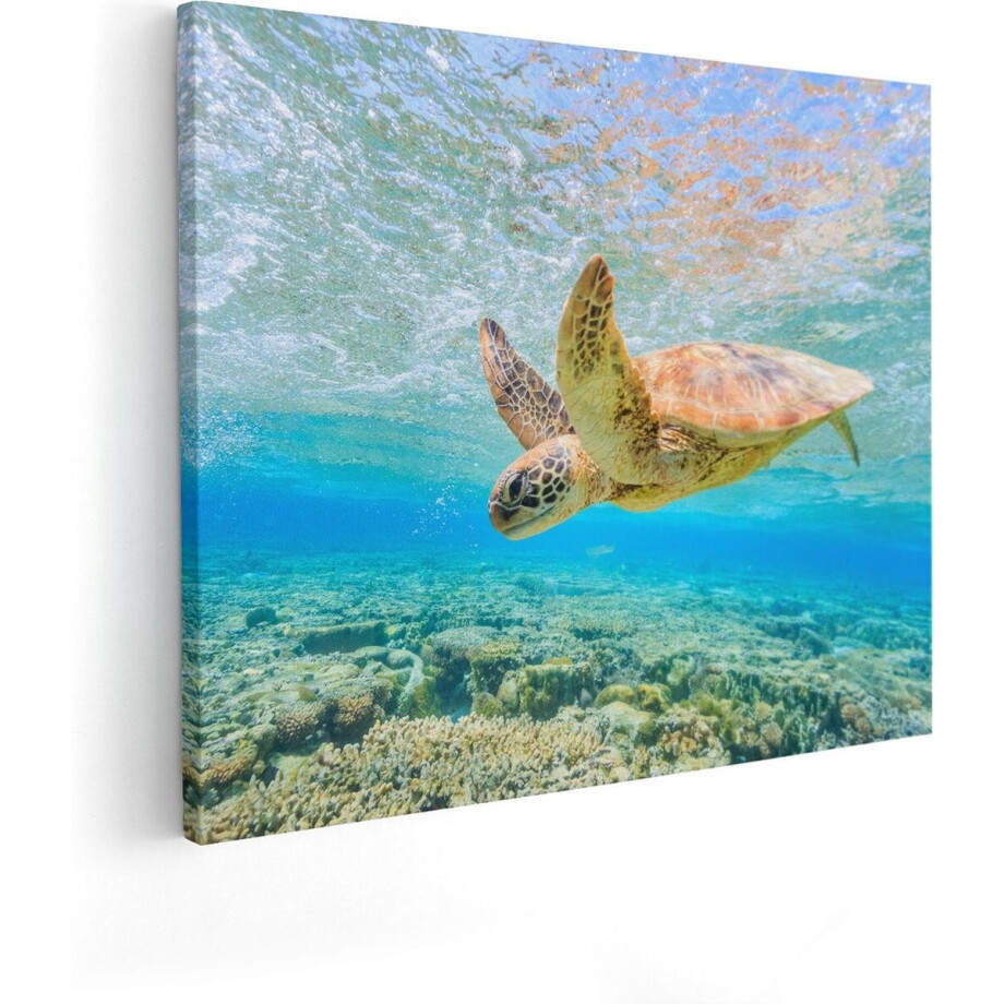 Artaza Canvas Schilderij Schildpad Onderwater - 50x40 cm - Muurdecoratie Zee - Wanddecoratie Woonkamer - Kamer Accessoires Artaza Canvas Schilderij Schildpad Onderwater - 50x40 cm - Muurdecoratie Zee - Wanddecoratie Woonkamer - Kamer Accessoires afbeelding 1