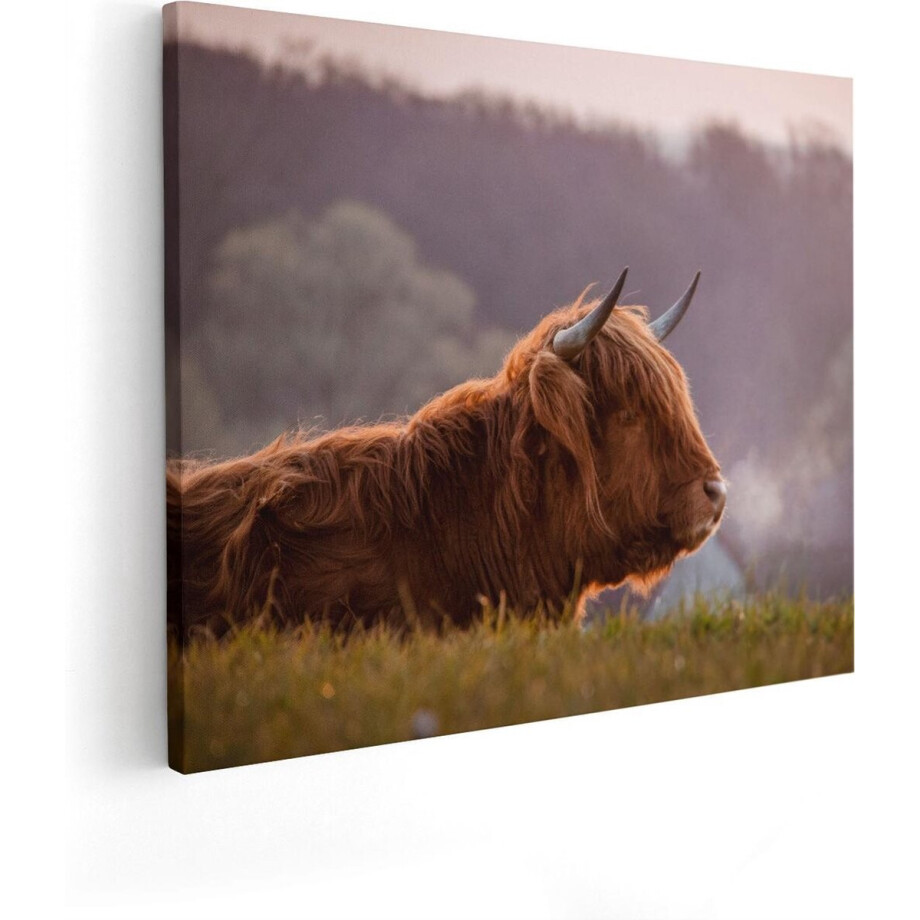 Artaza Canvas Schilderij Schotse Hooglander Koe Ligt In Het Gras - 50x40 - Foto Op Canvas - Canvas Print Artaza Canvas Schilderij Schotse Hooglander Koe Ligt In Het Gras - 50x40 - Foto Op Canvas - Canvas Print afbeelding 1