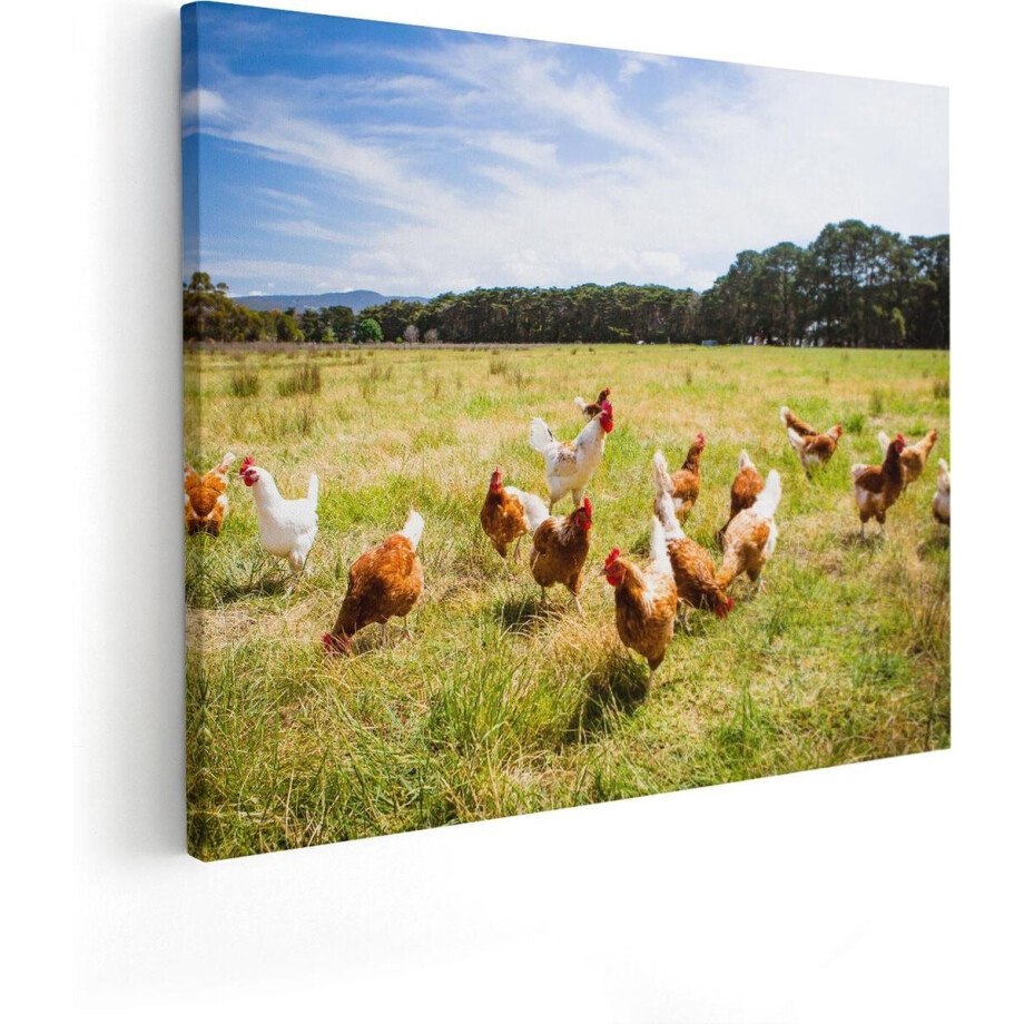 Artaza Canvas Schilderij Kippen - 100x80 cm - Groot - Wanddecoratie Dieren - Muurdecoratie Boerderij - Schilderijen Natuur afbeelding 1
