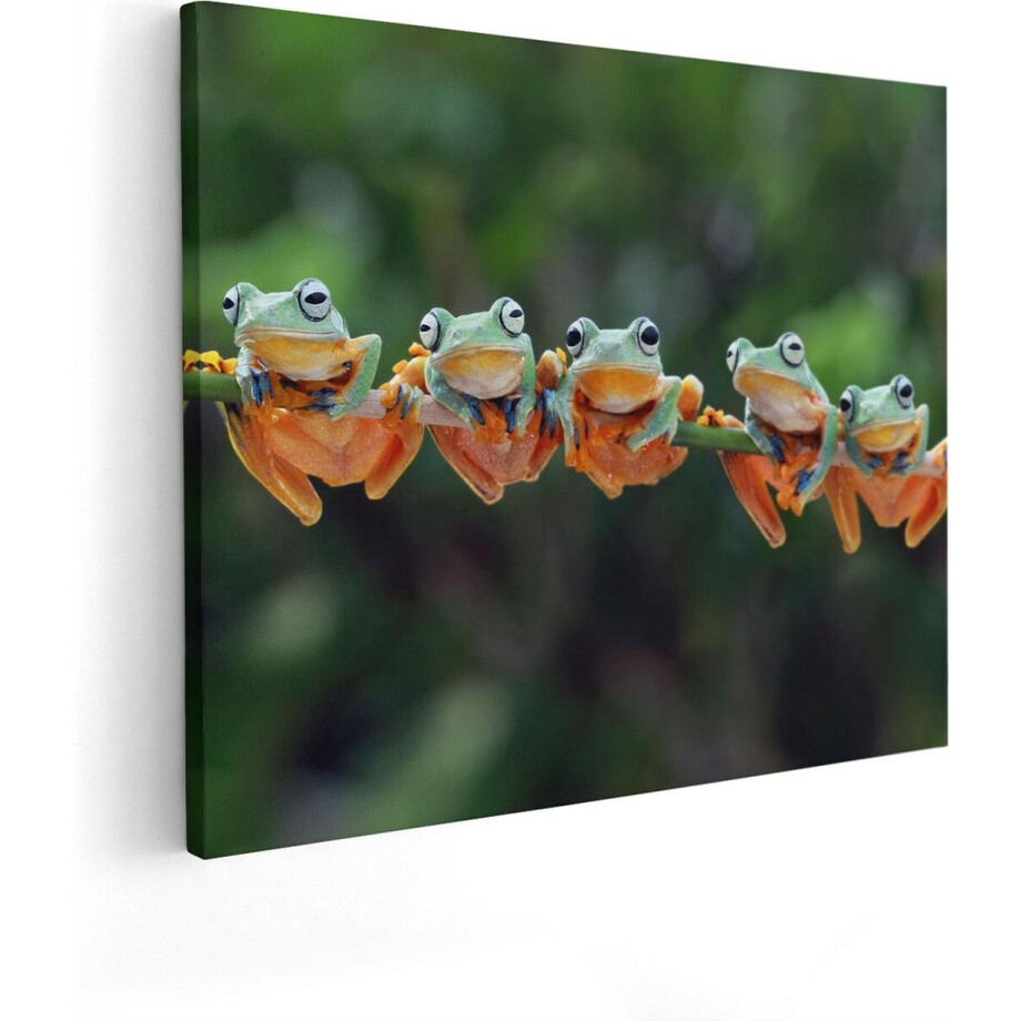 Artaza Canvas Schilderij Kikker - 100x80 cm - Groot - Wanddecoratie Dieren - Muurdecoratie Natuur - Schilderijen Op Canvas afbeelding 1