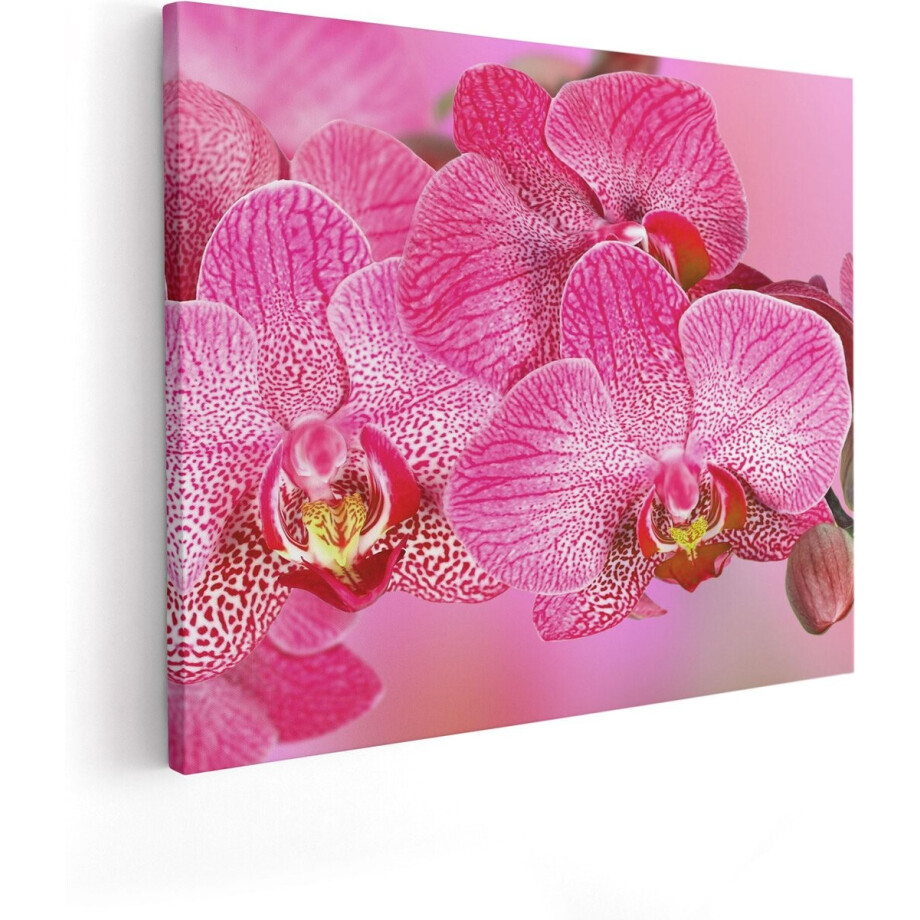 Artaza Canvas Schilderij Roze Orchidee Bloemen - 100x80 - Groot - Foto Op Canvas - Canvas Print afbeelding 1