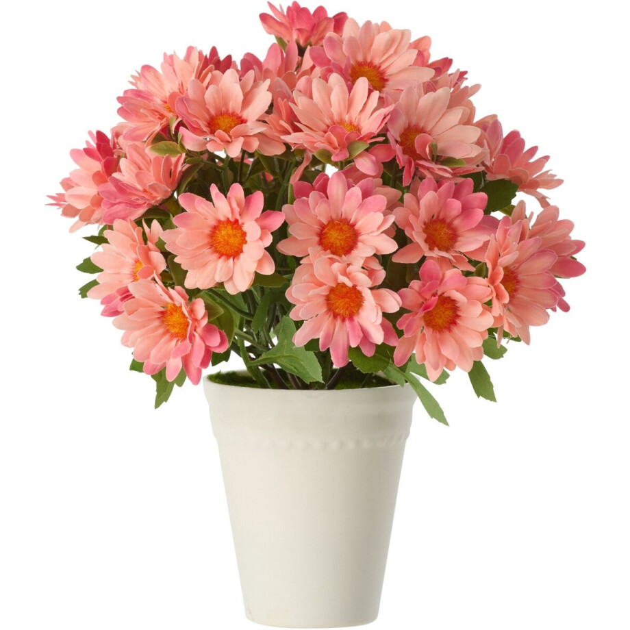 J-Line madeliefje - kunststof - lichtroze afbeelding 1