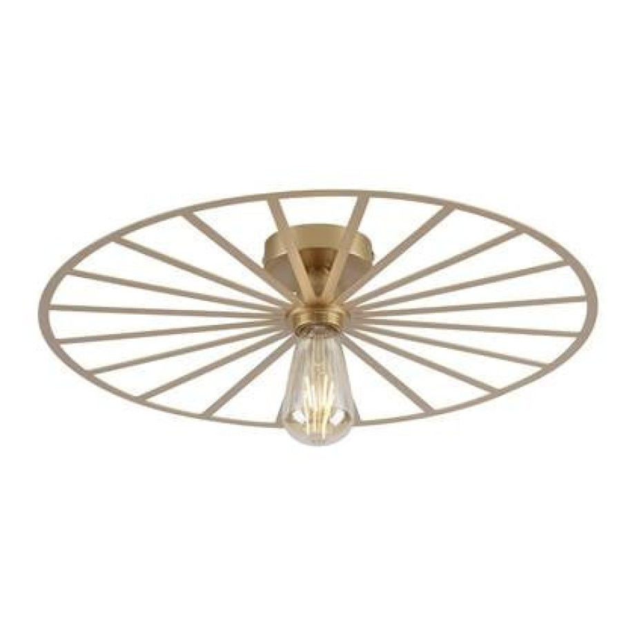 Paul Neuhaus Plafondlamp Isabella Ã 50 cm mat-goud afbeelding 1