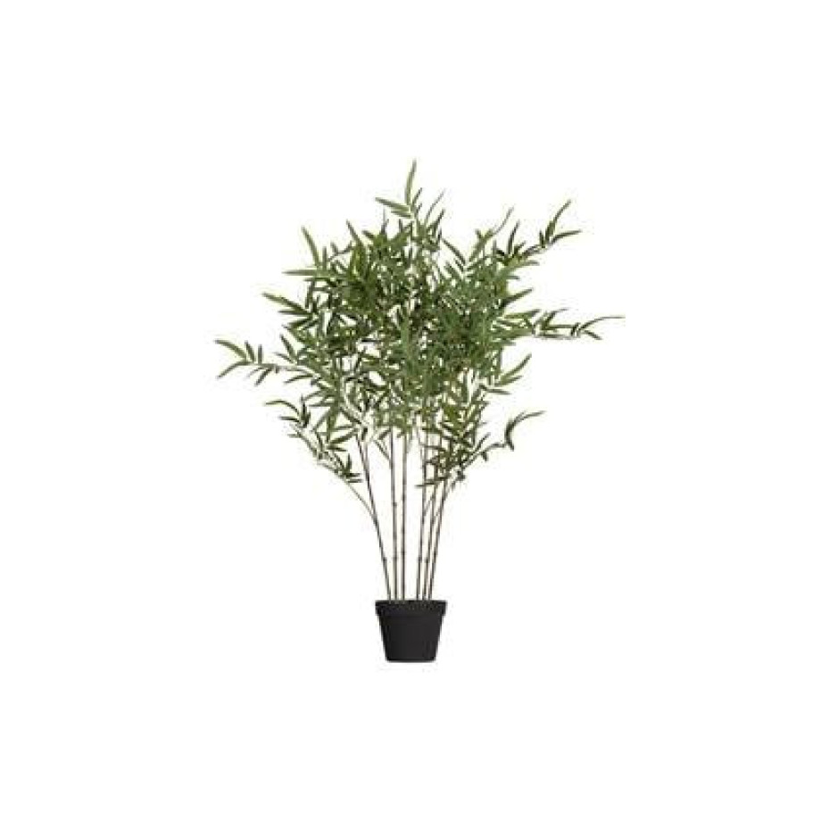WOOOD Bambusa Kunstplant - Groen - 100x110x110 afbeelding 1