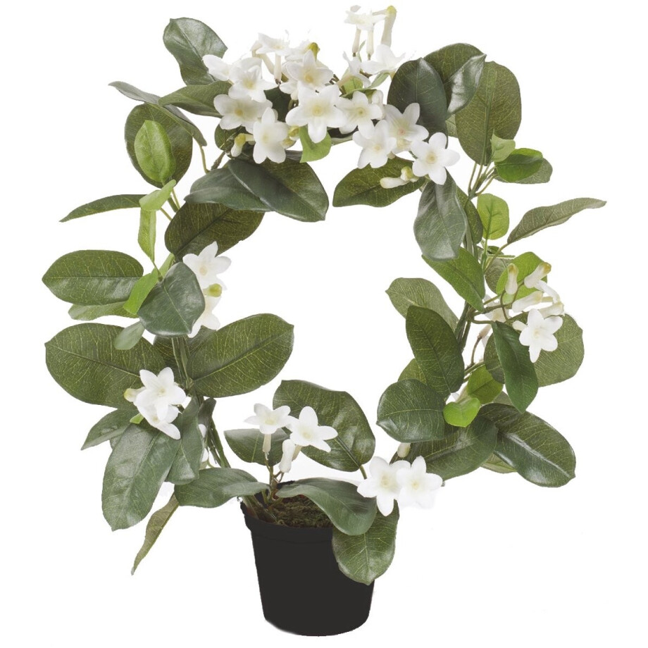 Emerald - Kunstplant in pot Stephanotis Ring wit 40cm - Kunstplant voor binnen afbeelding 1