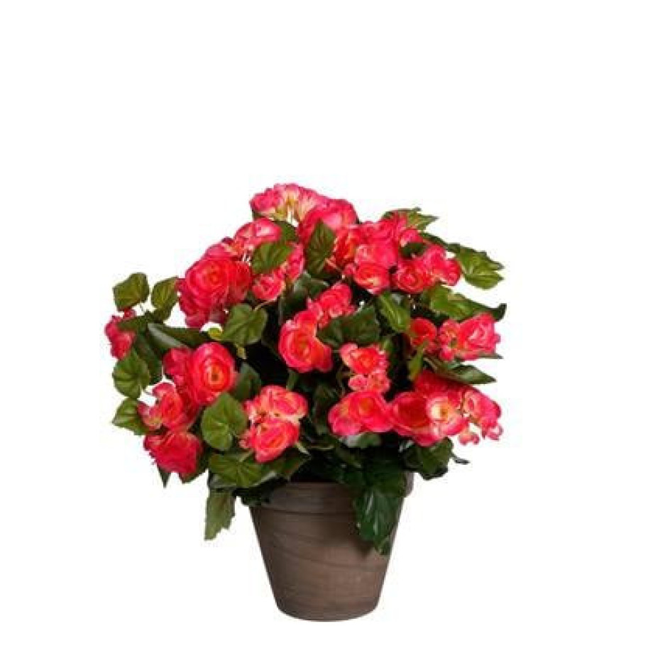 Mica Decorations Begonia Kunstplant - H37 x Ã36 cm - Donkerroze afbeelding 1
