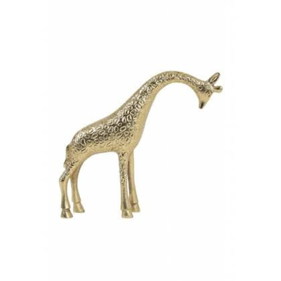 Light & Living Deco Beeld Giraffe - Goud - Metaal - 29x25x7cm (BxHxD) afbeelding 1
