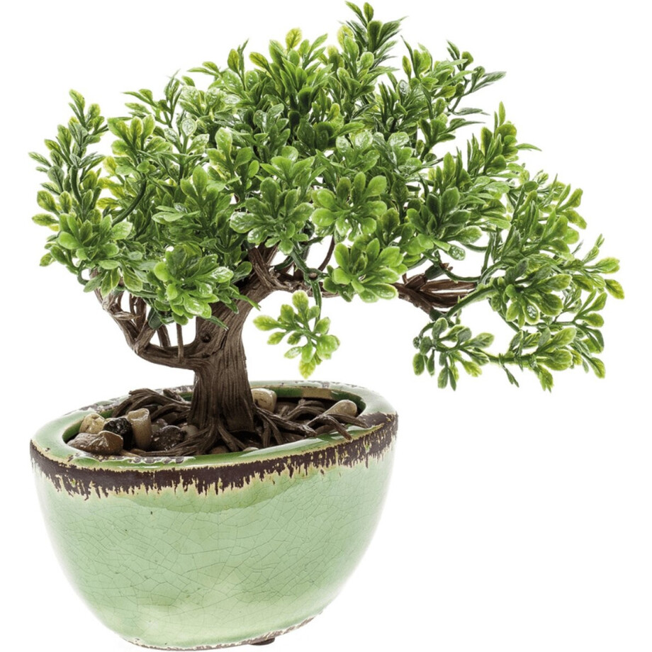 Bonsai Mini Kunstplant 19cm Bonsai Mini Kunstplant 19cm afbeelding 1