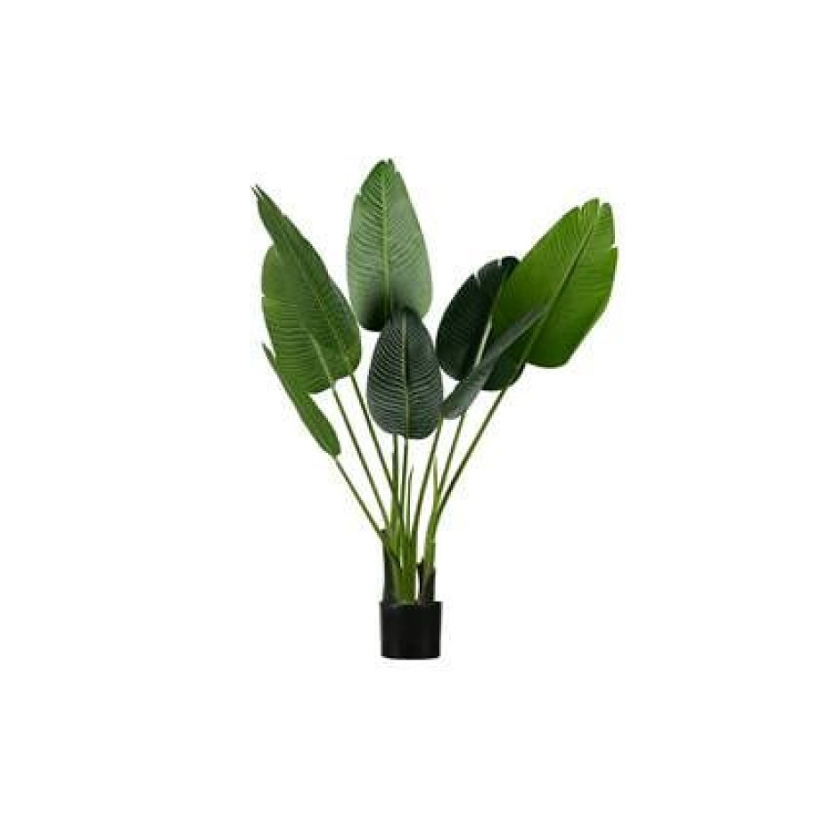 WOOOD Strelitzia Kunstplant - Groen - 61x108x50 afbeelding 1