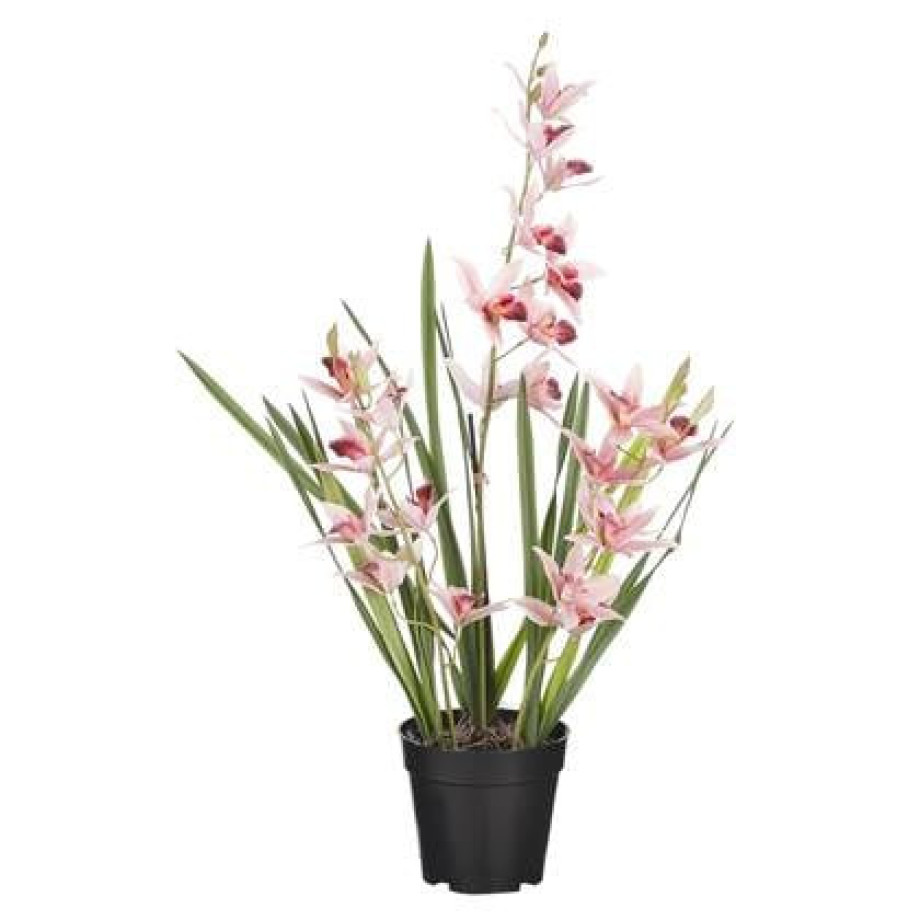 Mica Decorations Orchidee bloem kunstplant - perzik roze - H66 x B34 c afbeelding 1