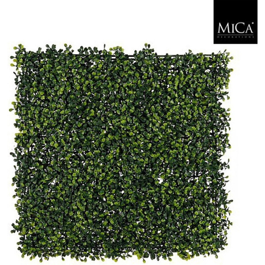 Mica Decorations Buxus Kunstplant - 50 x 50 x 5 cm - Groen afbeelding 1