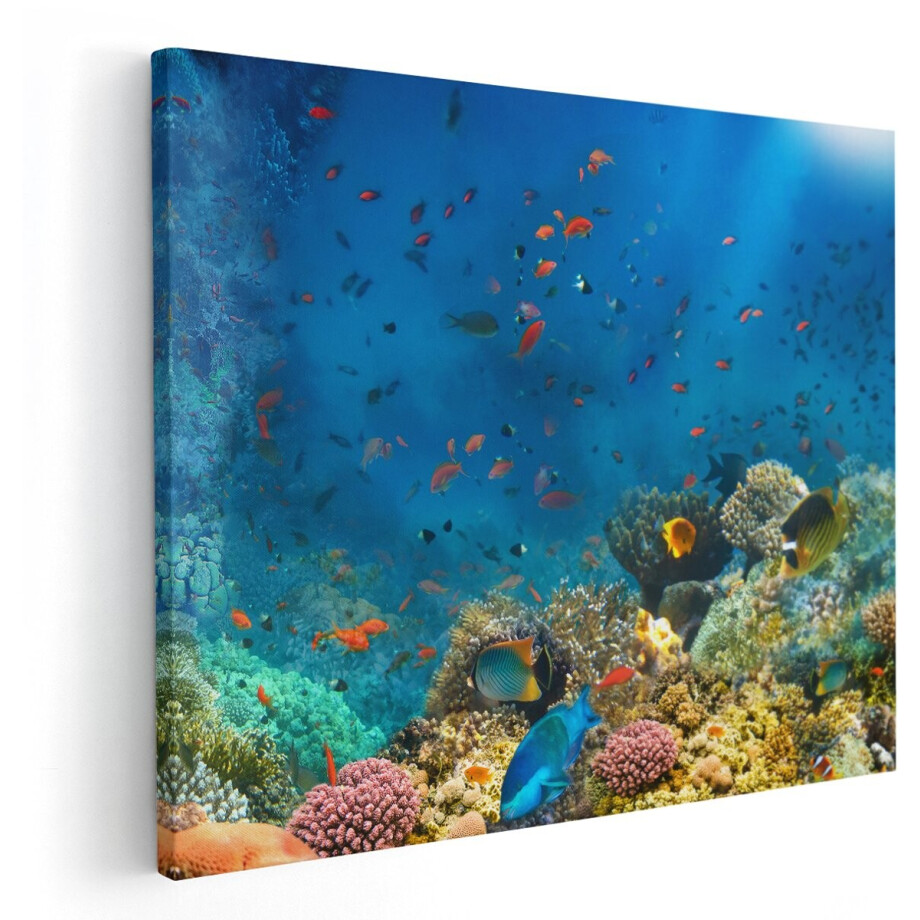 Artaza Canvas Schilderij Onderwater Vissen Met Koraal In De Zee - 150x120 cm - Groot - Wanddecoratie Woonkamer - Schilderijen - Muurdecoratie afbeelding 1