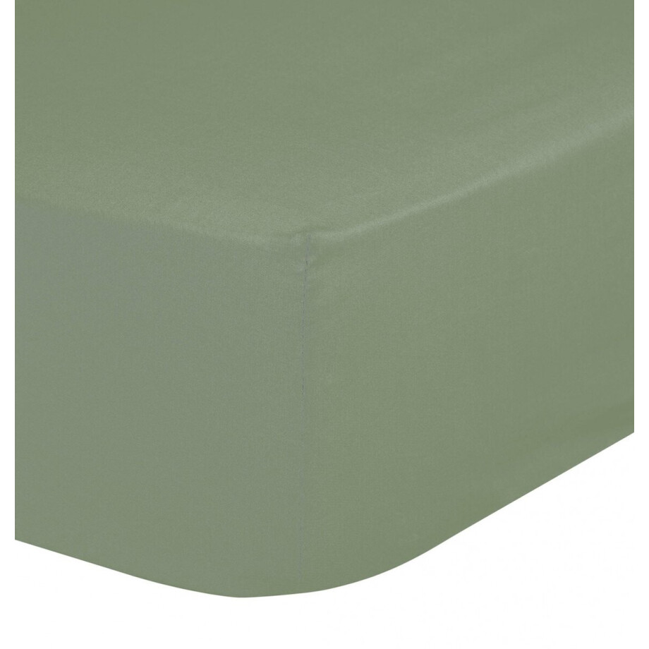 Good Morning hoeslaken effen kleur - 1 persoons 90x200 cm - Mistgroen - 100% Katoen jersey afbeelding 1