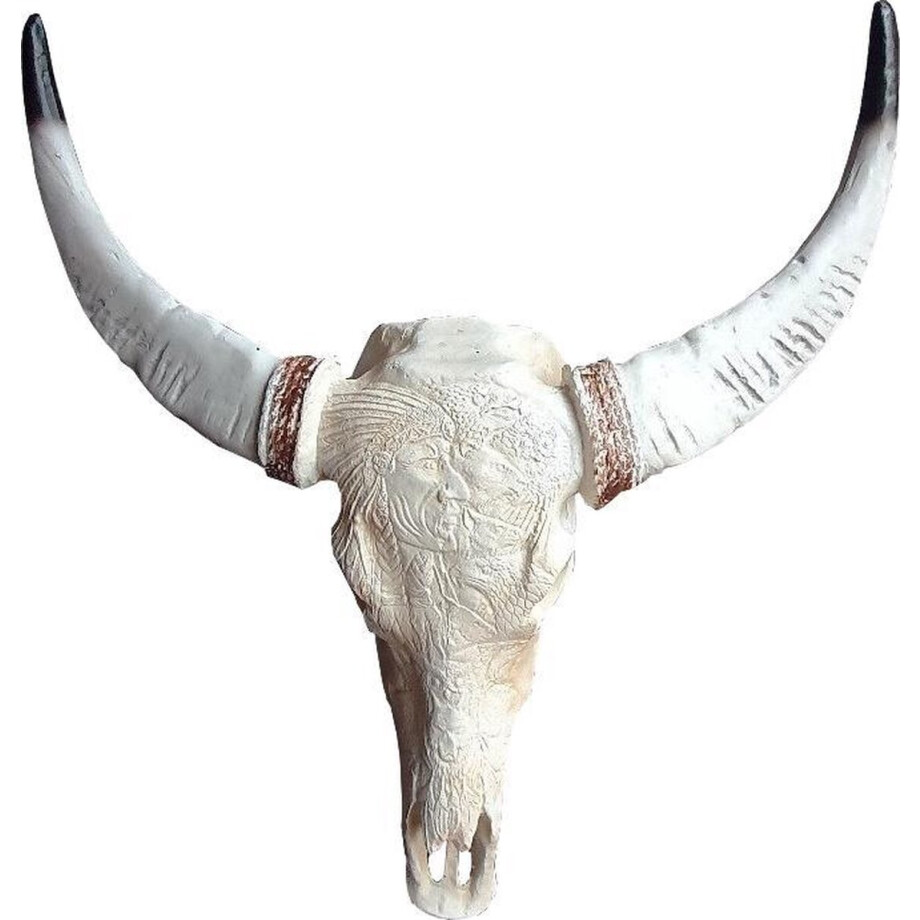 Buffel schedel skull bedrukt - Skull voor aan de muur - Dierenhoofd - Schedel decoratie - Skull - Skull gegraveerd - 68 cm breed Buffel schedel skull bedrukt - Skull voor aan de muur - Dierenhoofd - Schedel decoratie - Skull - Skull gegraveerd - 68 cm breed afbeelding 1
