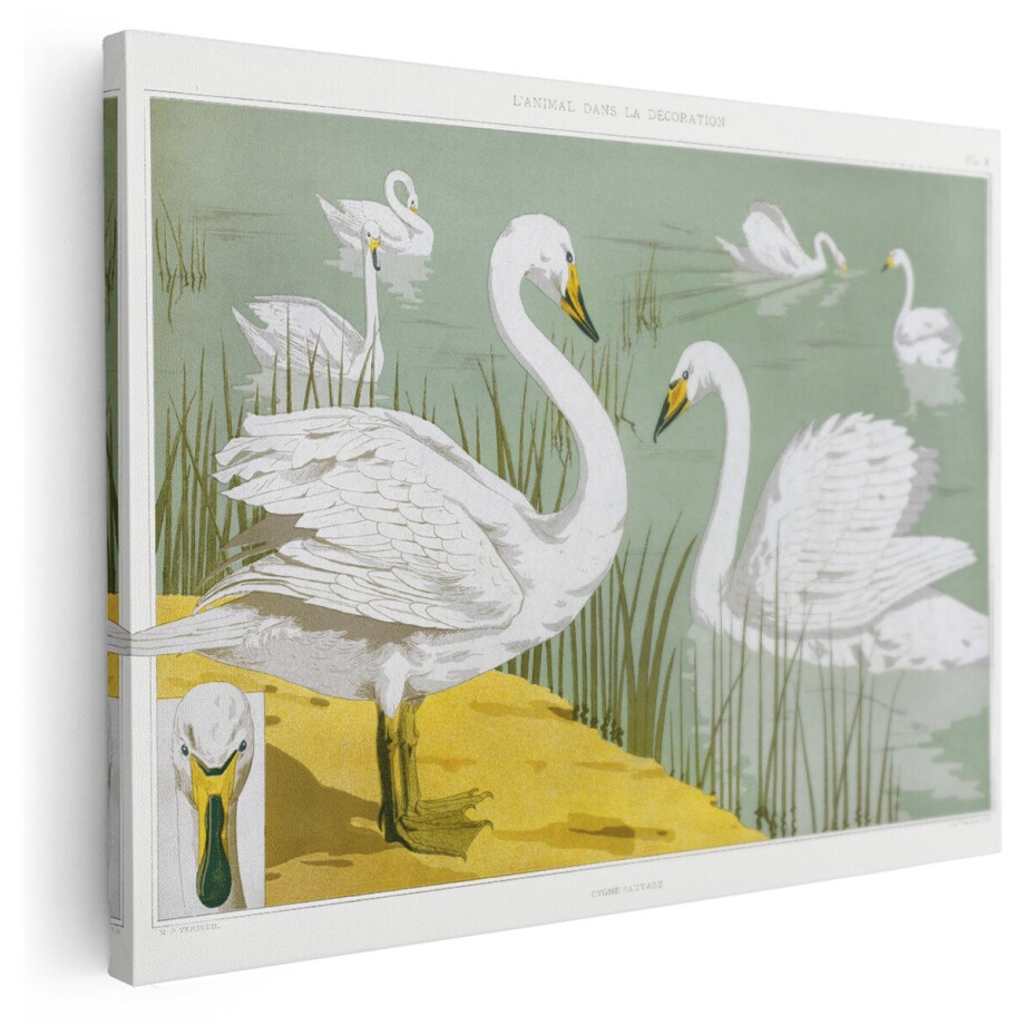 Artaza Canvas Schilderij Wilde Zwaan - 160x120 cm - Groot - Wanddecoratie Vintage Vogels - Muurdecoratie Dieren - Vogel Kamer Accessoires Artaza Canvas Schilderij Wilde Zwaan - 160x120 cm - Groot - Wanddecoratie Vintage Vogels - Muurdecoratie Dieren - Vogel Kamer Accessoires afbeelding 1
