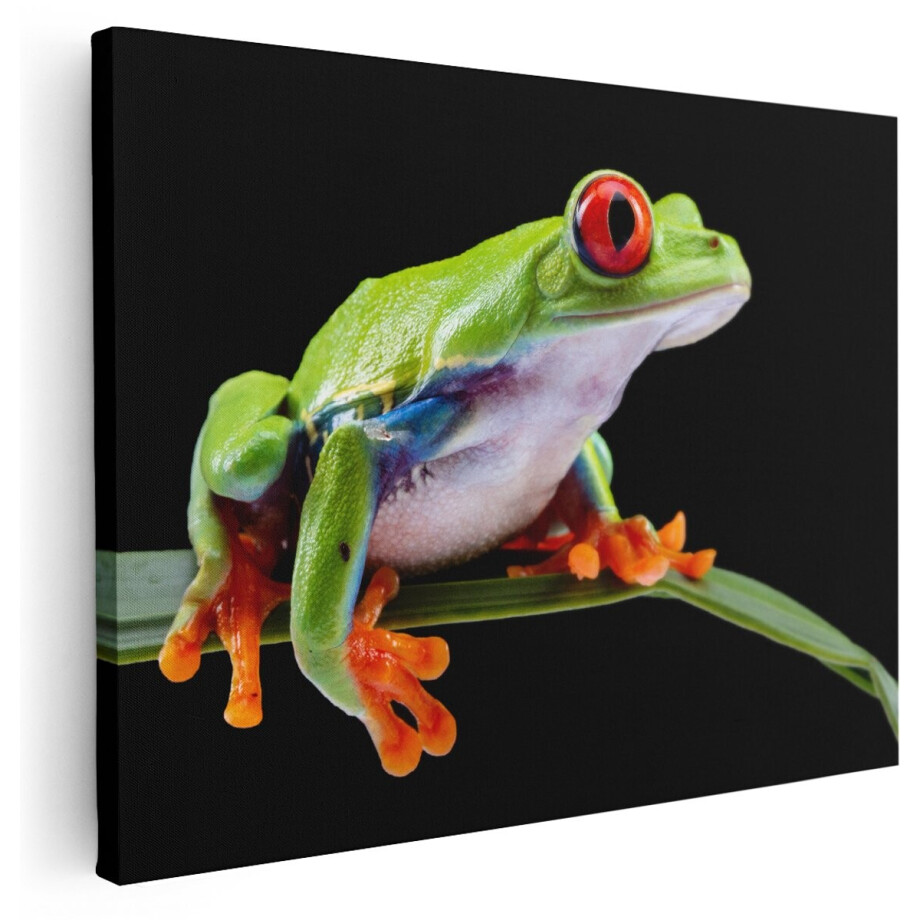 Artaza Canvas Schilderij Kikker met Rode Ogen op een Plant - 160x120 cm - Groot - Wanddecoratie Woonkamer - Schilderijen - Muurdecoratie afbeelding 1
