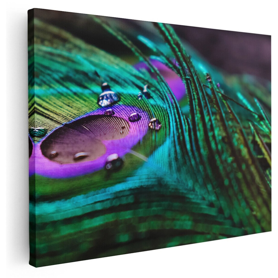 Artaza Canvas Schilderij Kleurrijke Pauw Veer Met Waterdruppels - 160x120 cm - Groot - Wanddecoratie Woonkamer - Schilderijen - Muurdecoratie Artaza Canvas Schilderij Kleurrijke Pauw Veer Met Waterdruppels - 160x120 cm - Groot - Wanddecoratie Woonkamer - Schilderijen - Muurdecoratie afbeelding 1
