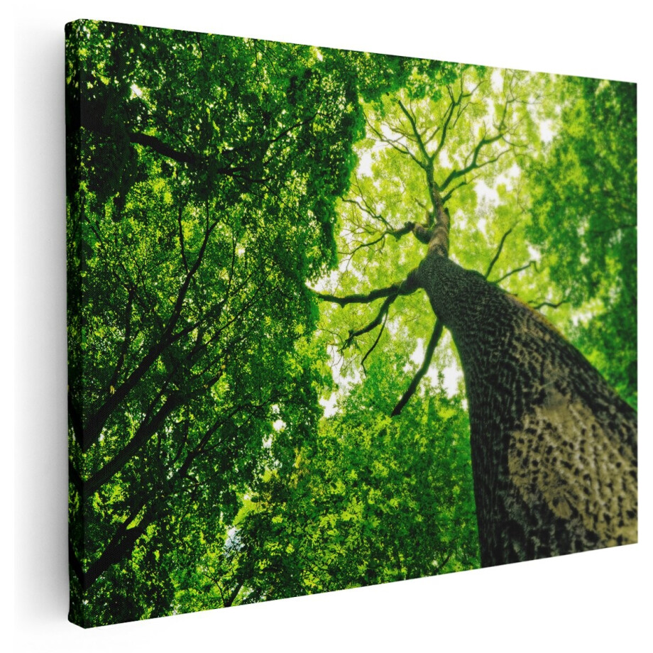 Artaza Canvas Schilderij Boom In Het Bos Met Fel Groene Bladeren - 160x120 cm - Groot - Wanddecoratie Woonkamer - Schilderijen - Muurdecoratie afbeelding 1