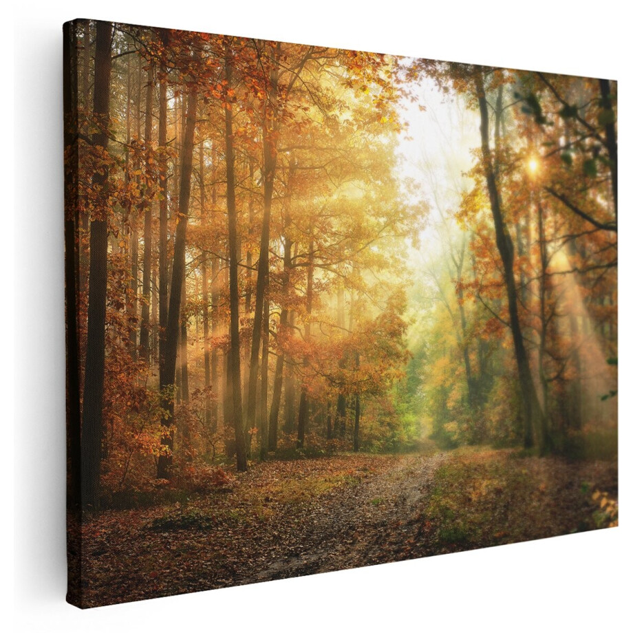 Artaza Canvas Schilderij Herfstbos Met Zonneschijn - 160x120 cm - Groot - Wanddecoratie Woonkamer - Schilderijen - Muurdecoratie afbeelding 1