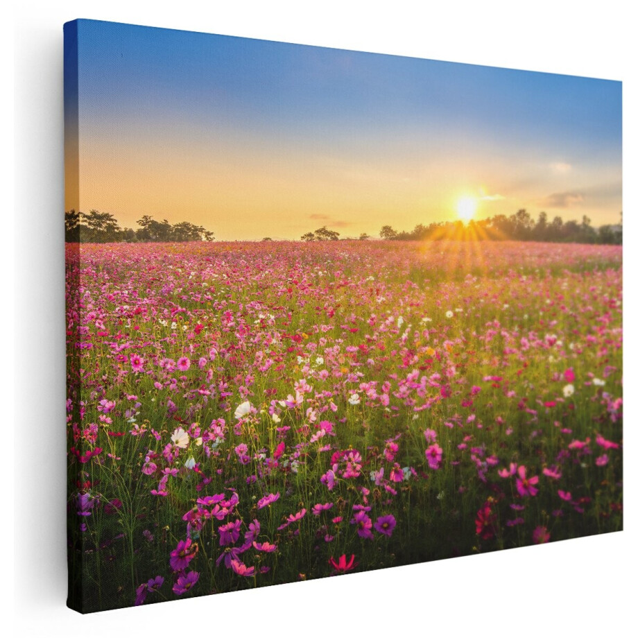 Artaza Canvas Schilderij Bloemenveld Met Roze Kosmos - 160x120 cm - Groot - Wanddecoratie Woonkamer - Schilderijen - Muurdecoratie afbeelding 1