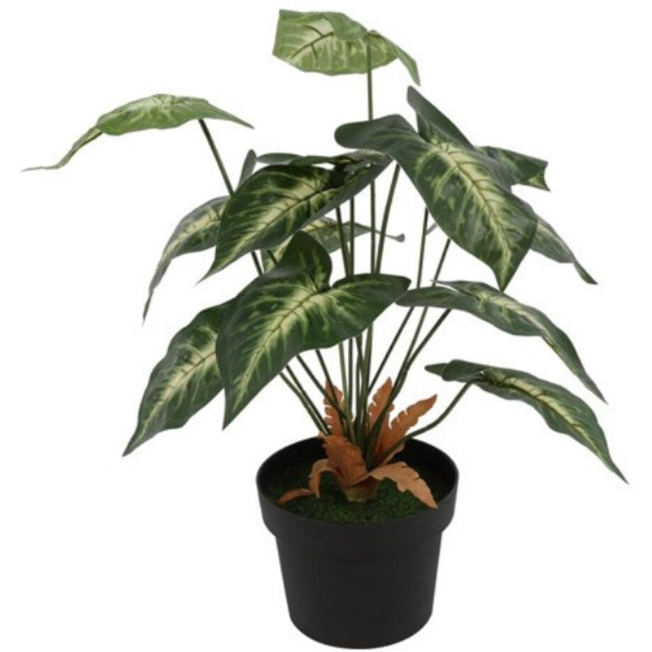 Countryfield Kunstplant Alocasia Heterophylla Countryfield Kunstplant Alocasia Heterophylla afbeelding 1