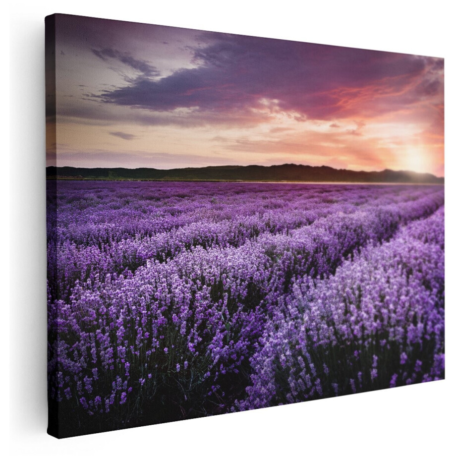 Artaza Canvas Schilderij Bloemenveld Met Paarse Lavendel - Bloemen - 160x120 cm - Groot - Wanddecoratie Woonkamer - Schilderijen - Muurdecoratie afbeelding 1