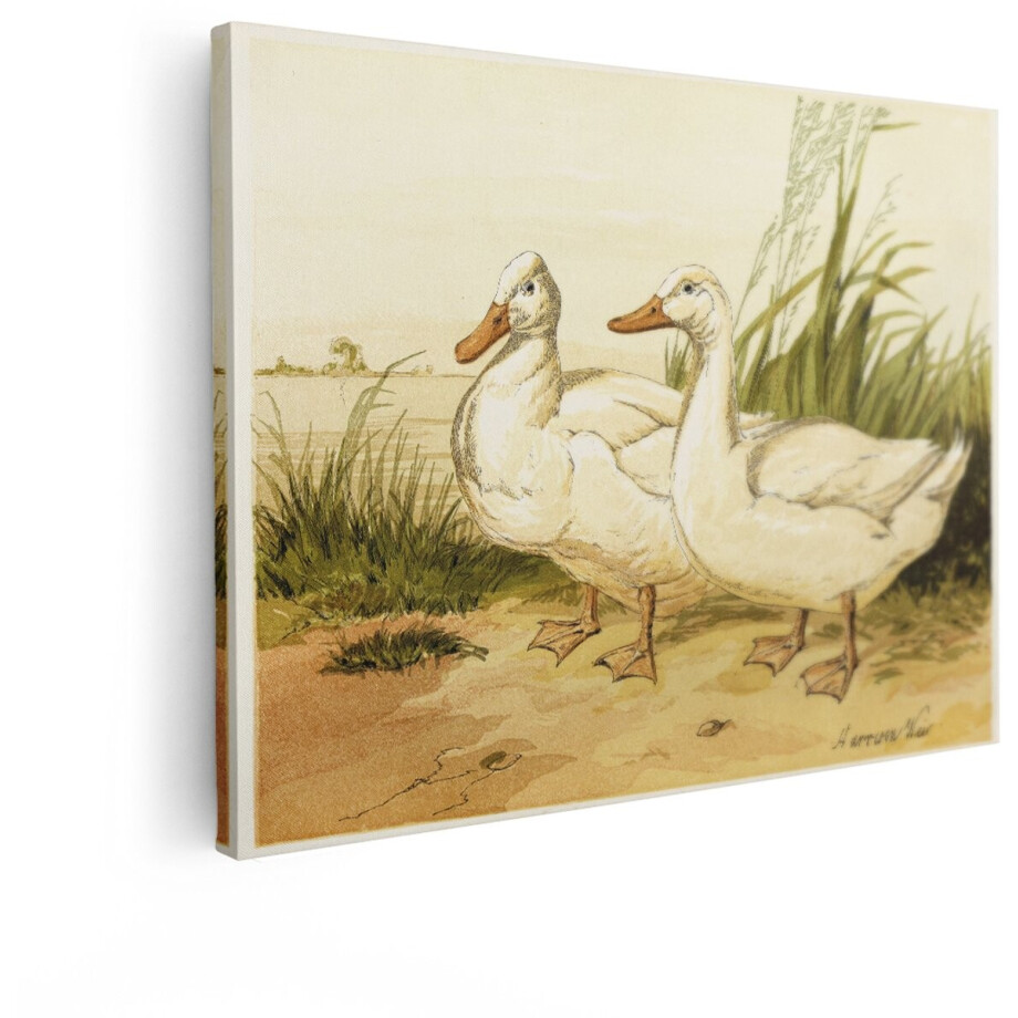 Artaza Canvas Schilderij Witte Eenden - 40x30 cm - Wanddecoratie Waterkant - Muurdecoratie Vogels - Kamer Accessoires Natuur afbeelding 1