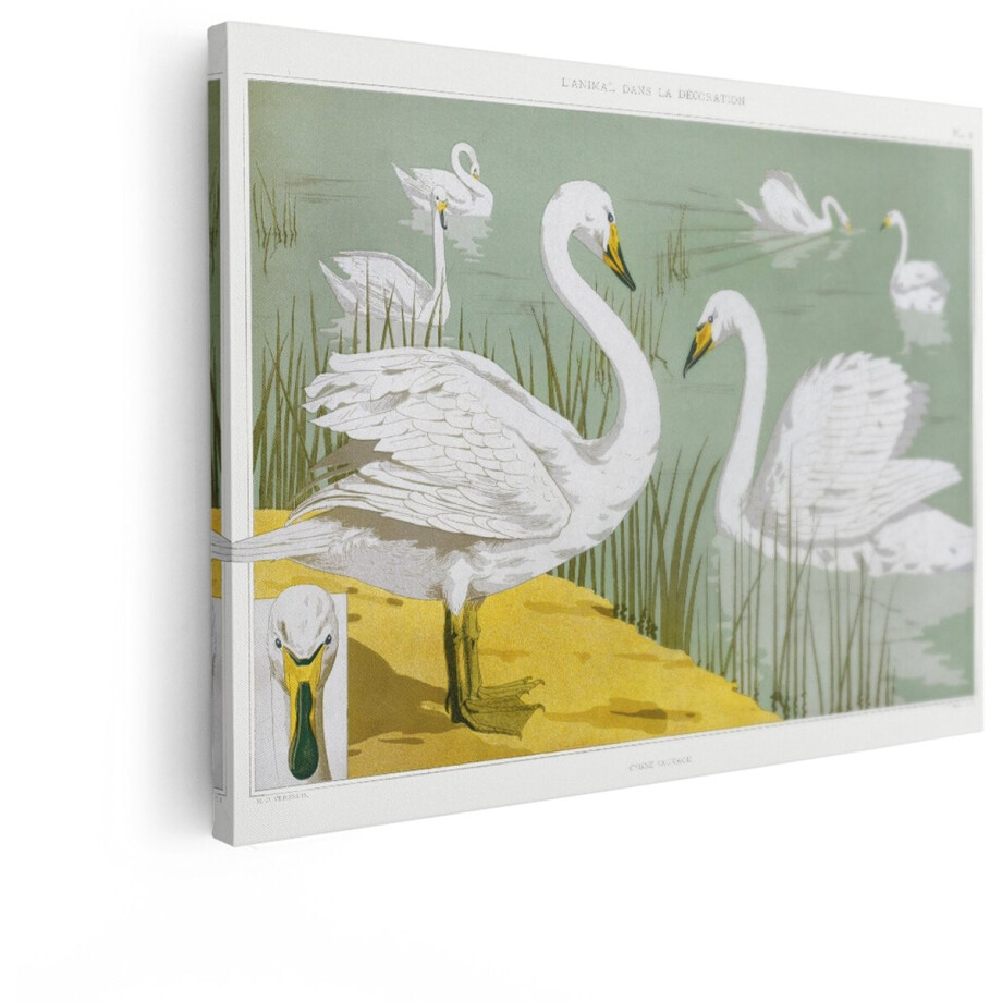 Artaza Canvas Schilderij Wilde Zwaan - 40x30 cm - Wanddecoratie Vintage Vogels - Muurdecoratie Dieren - Vogel Kamer Accessoires afbeelding 1