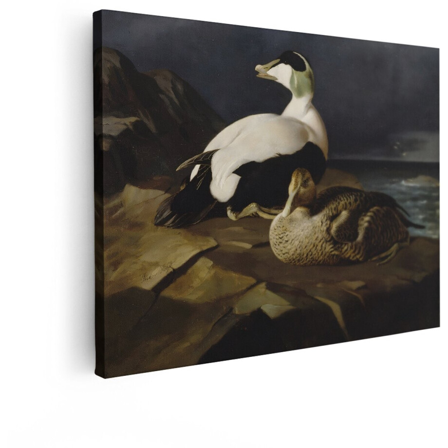 Artaza Canvas Schilderij Eidereenden - 80x60 cm - Wanddecoratie Vogels - Muurdecoratie Zee - Decoratie Natuur - Schilderijen Op Canvas Artaza Canvas Schilderij Eidereenden - 80x60 cm - Wanddecoratie Vogels - Muurdecoratie Zee - Decoratie Natuur - Schilderijen Op Canvas afbeelding 1